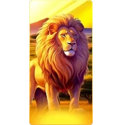 Lion
Safari